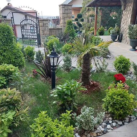 Tas فيلة